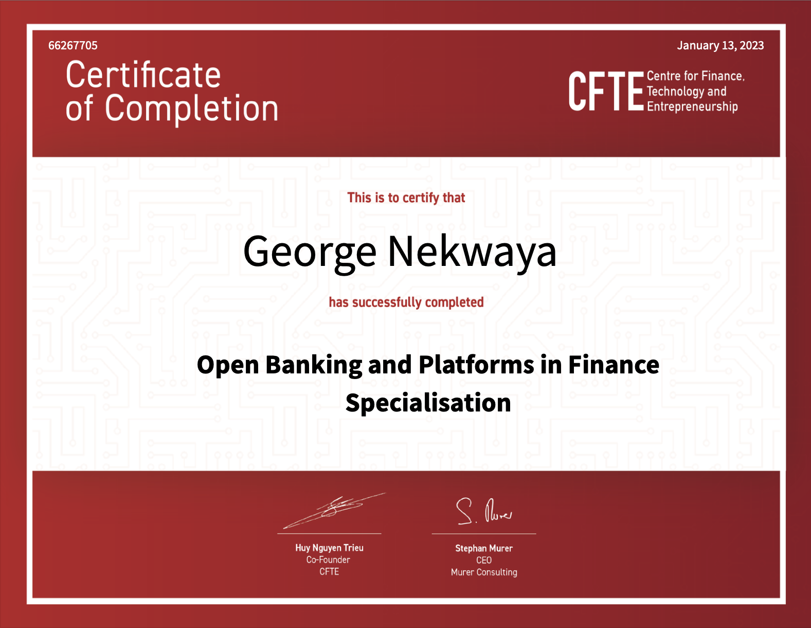 Open Banking and Platforms Specialization